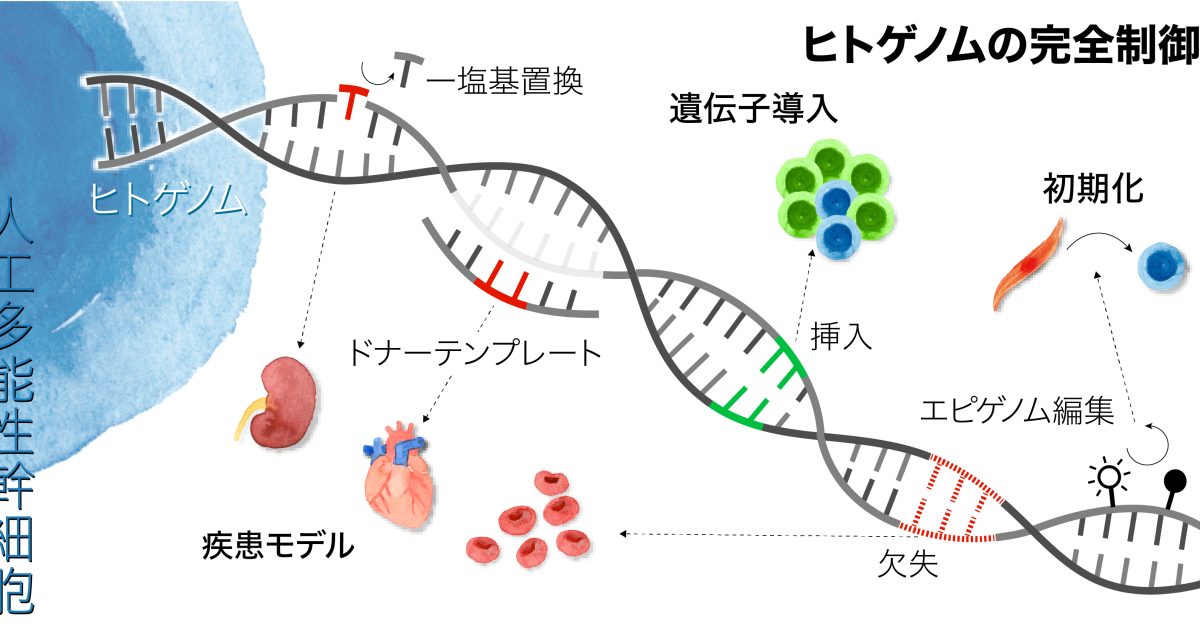 ヒトゲノムの完全制御に挑戦する！ | 京都大学アカデミックデイ2023